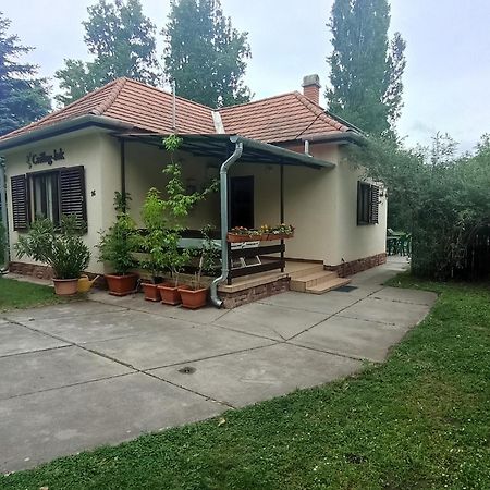 Csillag-Lak Balatonfoeldvar エクステリア 写真